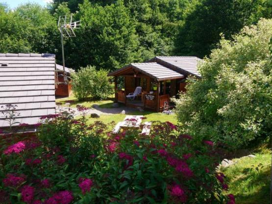 6.CHALET BOIS MONTAGNE 35M² avec terrasse couverte *