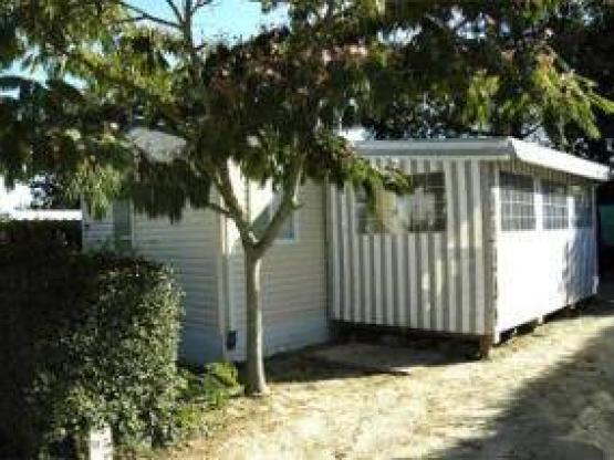 Chalet Mobile Confort 3 chambres environ 31m²