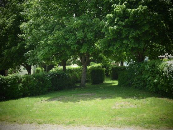 Kampeerplaats Comfort + Auto (exclusief electriciteit)