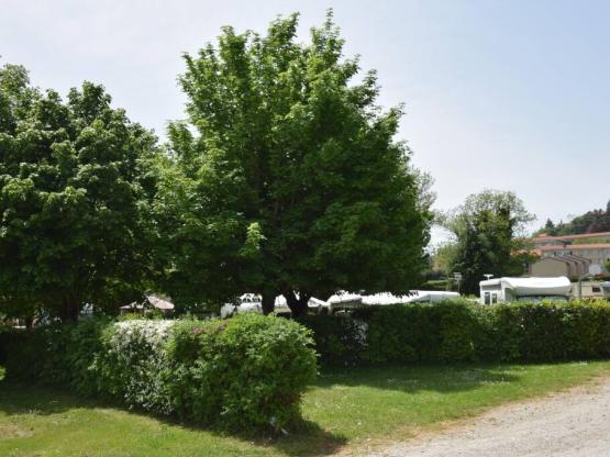 Kampeerplaats Comfort Plus + Auto + 10A