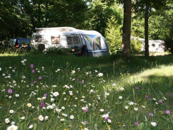 Chalet Insolite Privilège 4*