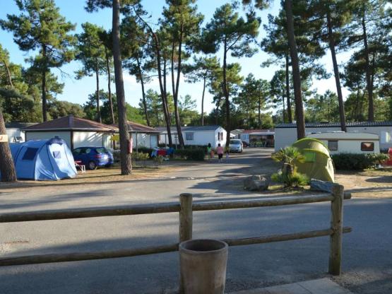 Forfait de base : 2 personnes , emplacement avec électricité 10 ampères + voiture  inclus