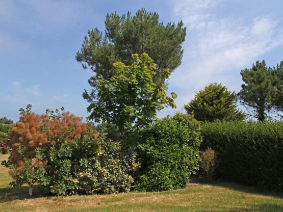 Stellplatz Komfort XL mit 2 Personen (auto + wohnwagen oder zelt + strom 10A )