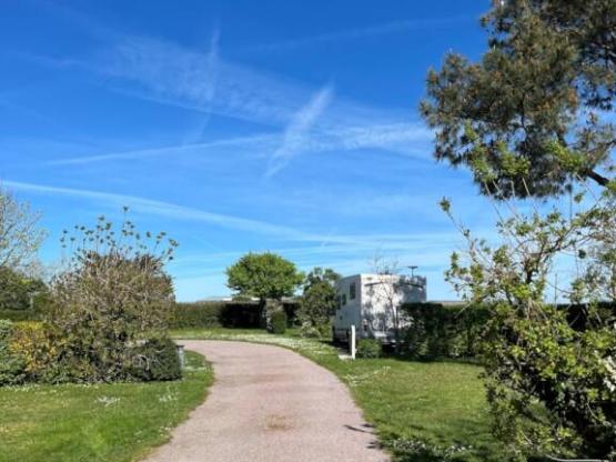 Emplacement confort XL  avec électricité 10A