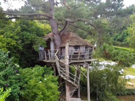 Boomhut, ontbijt en bedlinnen inbegrepen