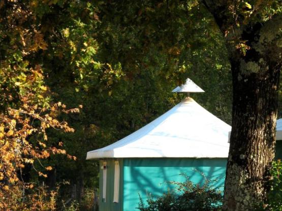 Ingerichte tent ** - 2 Kamers - 0 badkamer - Bengali