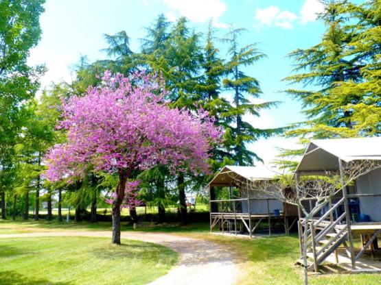 Lodge Acadienne / 2 chambres / Clim - terrasse couverte