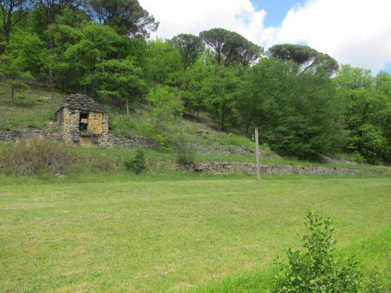 Stellplatz (Größe XXL) + Strom 10A + Fahrzeug