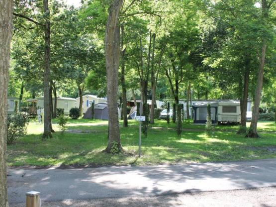 Emplacement voiture avec caravane, tente ou camping-car + 2 adultes inclus + électricité 10 A