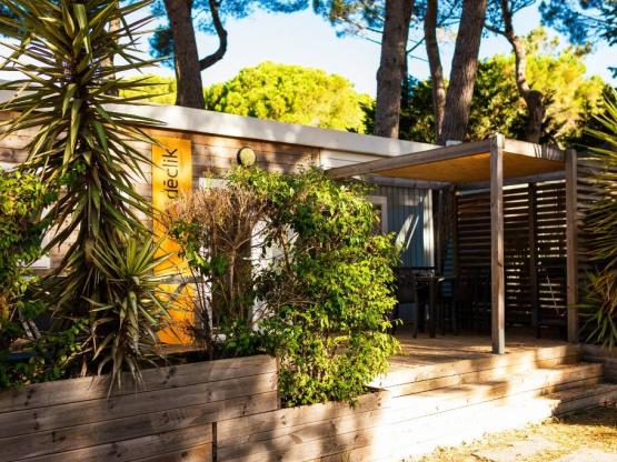 SUNÊLIA PRESTIGE DECLIK