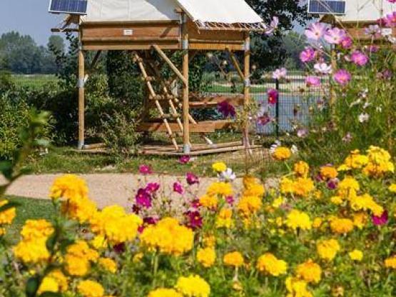 Tente Bivouac Randonneur (avec ou sans petit-déjeuner)