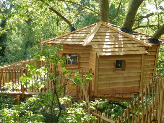 Cabane perchée dans les arbres