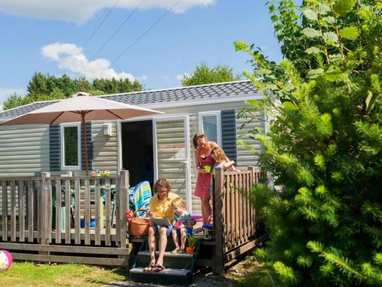 Bungalow Bouleau 28 m² with wooden terrace