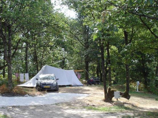 Emplacement XL Forêt avec électricité 6A  inclus -100 à 120 m²  pour caravane ou tente
