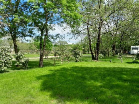 Parcela : coche + tienda/caravana o autocaravana