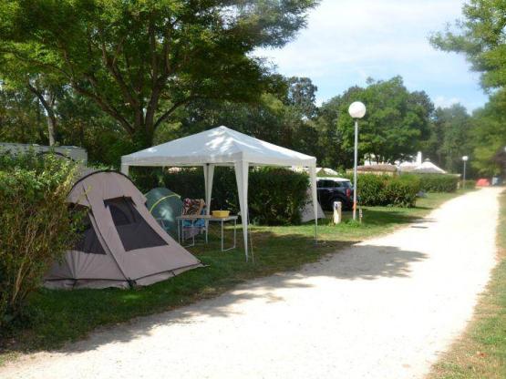 Basisprijs Natuurplaats (1 standplaats / 1 auto)