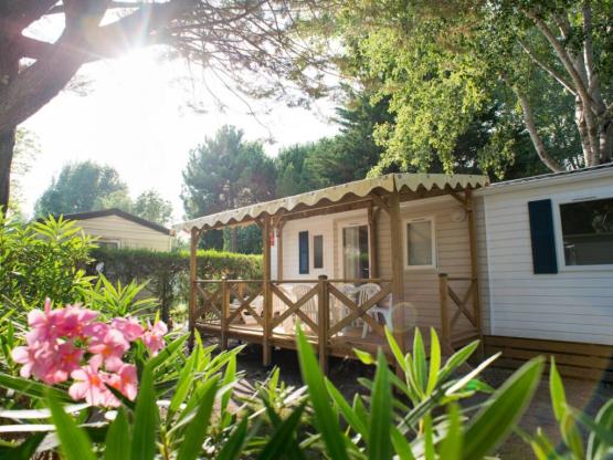 Cottage Famille Plus Premium