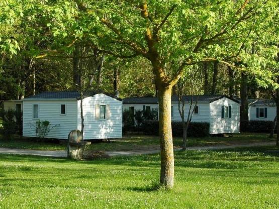 Stacaravan Standard 19m² 2 slaapkamers - Half-schaduwrijk terras