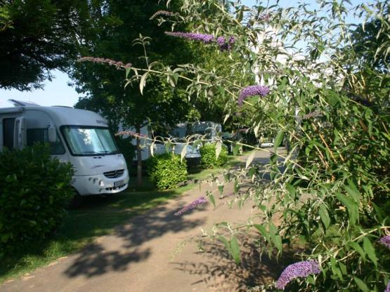 Forfait CONFORT - ce forfait comprend électricité + 1 camping-car ou 1 véhicule avec 1 tente/caravane + eau potable + évacuation eaux usées