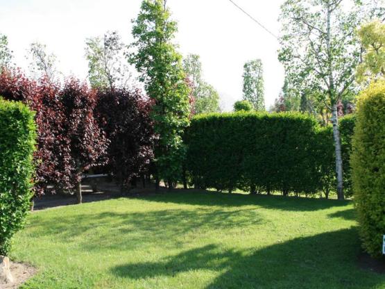 Petit Emplacement Evasion pour petite Tente (électricité optionnelle)