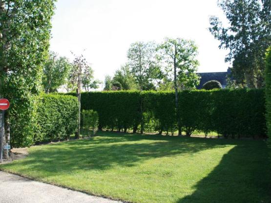 Emplacement Détente (taille moyenne) pour tente ou caravane (électricité optionnelle)