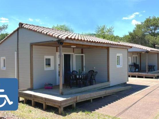 CHICANA STANDARD (PMR)