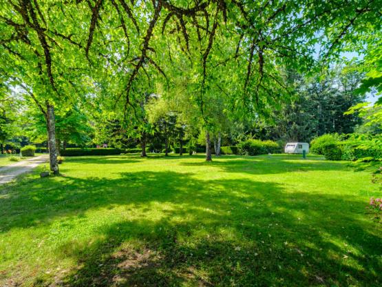 Parcela Confort (tienda, caravana, autocaravana / 1 coche / Electricidad )