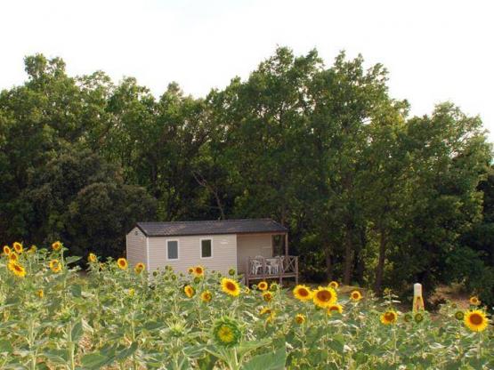 Mobil home (2 chambres)