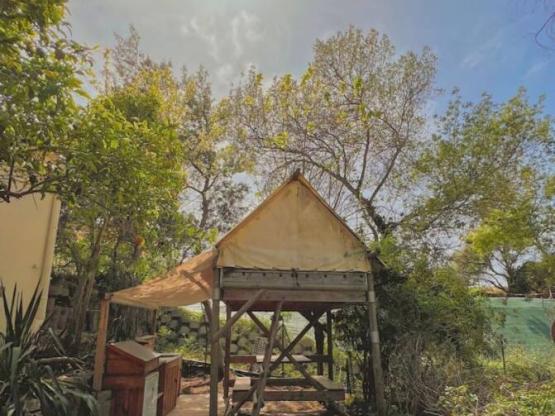 Zelt auf Pfählen - 5m² - ohne Sanitäranlagen