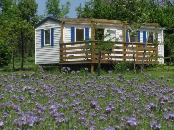 Mobile-home with shower n°3