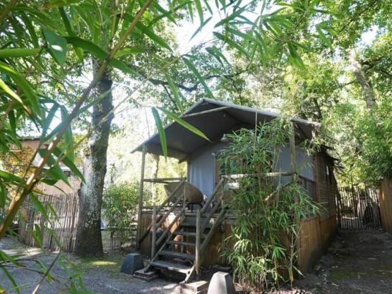 BUNGALODGE BOIS 35m² - Loubine