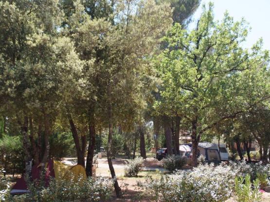 Forfait emplacement XL  (1 tente, caravane ou camping-car / 1 voiture / électricité 10A)