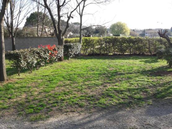 Forfait Privilège : Emplacement au  calme et  très ombragé avec électricité