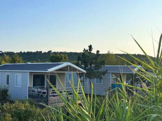 CALIFORNIA. STANDARD