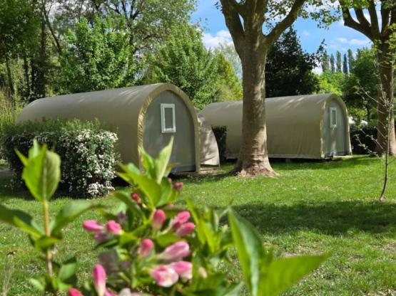 CocoSweet 16m² sans sanitaires privés (pas de télévision).