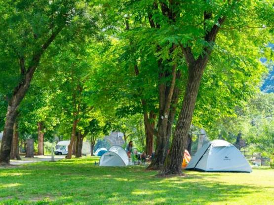 Forfait emplacement + 1 véhicule