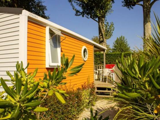 Cottage GOYAVE - 25m² - terrasse intégrée semi-couverte - 2 chambres