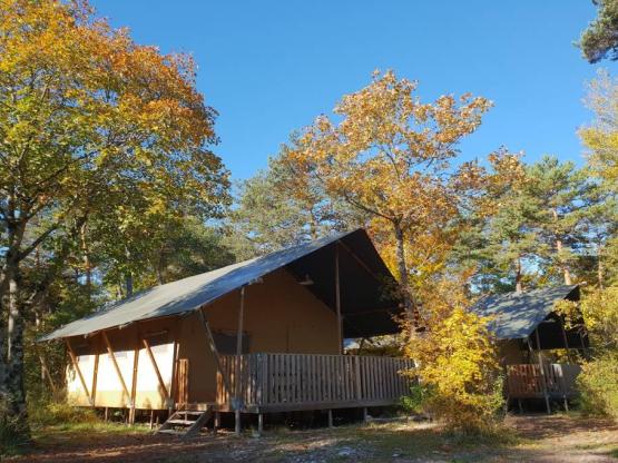 Lodge WOODY n° 6, 7, 11, 63, 64, 65 -