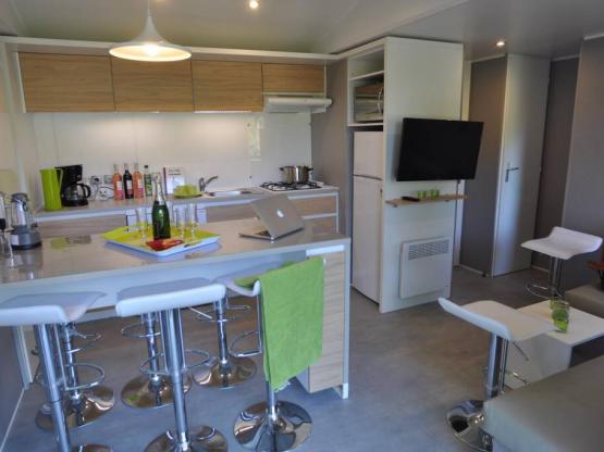 CONFORT PLUS 3CH LV TV WIFI terrasse mini-chalet bois 2P