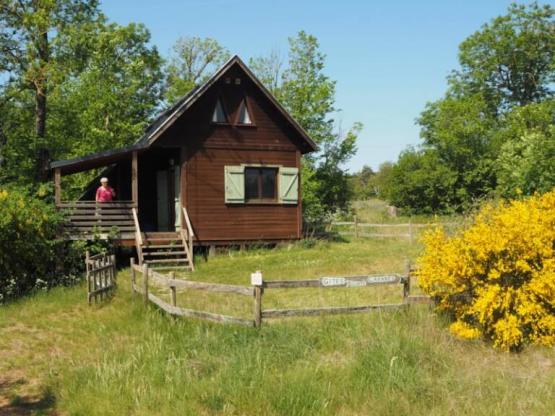 Chalet Sapin 54m² n°66