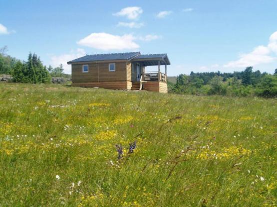 Chalet Châtaignier 38m² n°68a