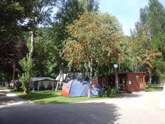 Emplacement de camping