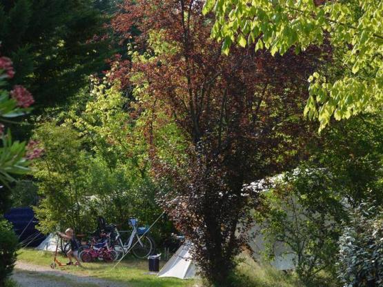 Stellplatz + 1 Auto + Zelt , Wohnwagen oder Wohnmobil