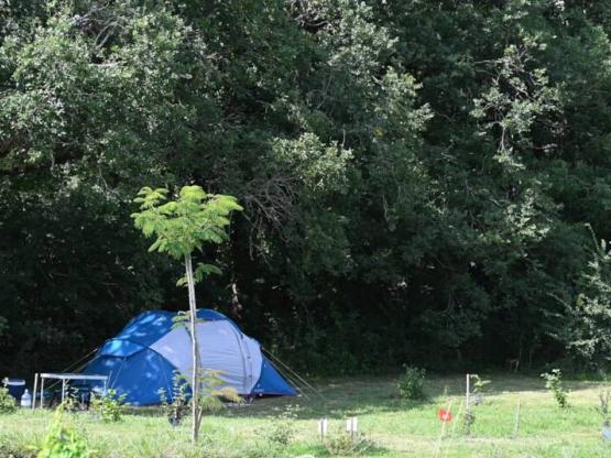 Basisprijs Natuurplaats (1 tent, caravan of camper / 1 auto)