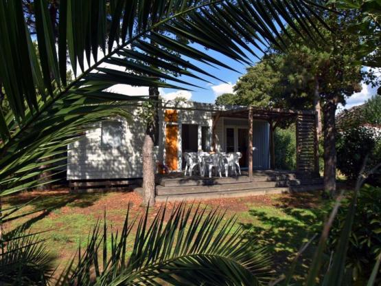 Bungalow Premium 3 chambres