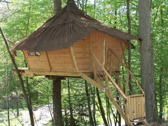 Baumhaus - 20m²