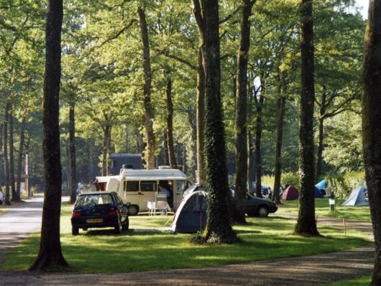 Stellplatz Nature (Zelt, Wohnwagen, Wohnmobil / 1 Auto)