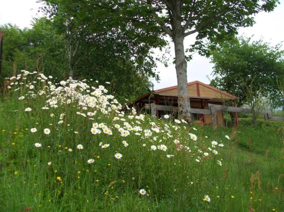 Chalet Eco 5 personnes