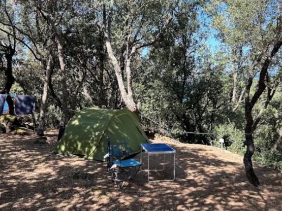 Emplacement tente + électricité comprise : 105 emplacements 4*