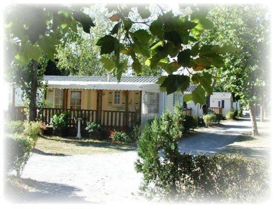 Mobile Home Paloma 32m² 2 bedrooms  with covered terrace